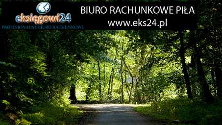 usługi księgowe Piła