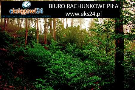 najlepsze biuro podatkowe Piła