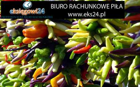 biura rachunkowe Piła
