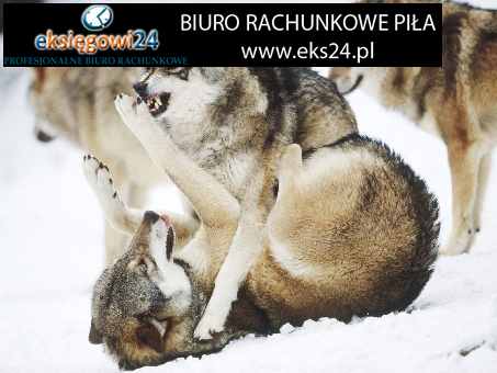 biura księgowe Piła