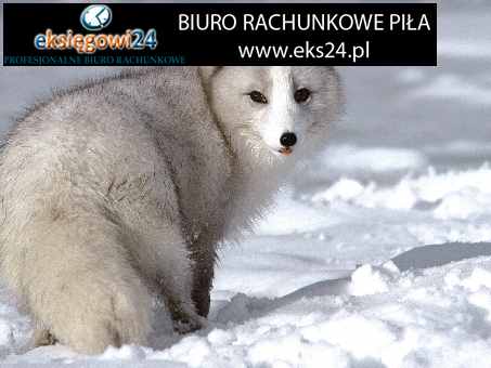 biuro rachunkowe Piła