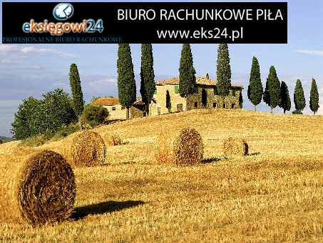 Biura rachunkowe w Pile