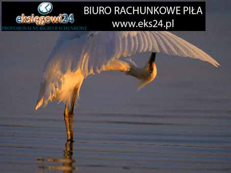 Biura rachunkowe w Pile