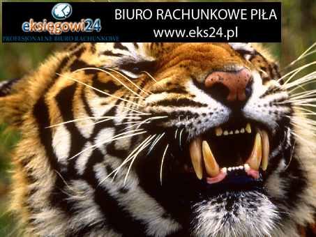 Biuro rachunkowe w Pile