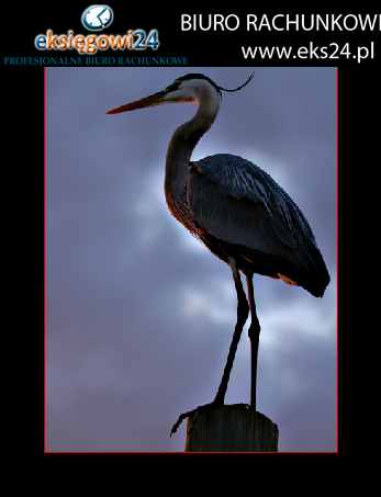 młodzieżowa tapeta na ścianę