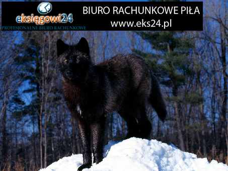 biuro podatkowe w Pile