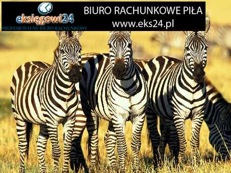 usługi księgowe Piła