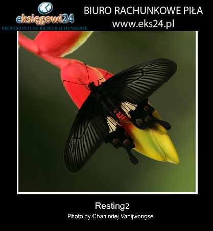 biuro rachunkowe Piła