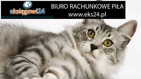 Piła biura rachunkowe