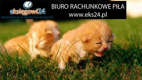 ekskluzywna tapeta na ścianę