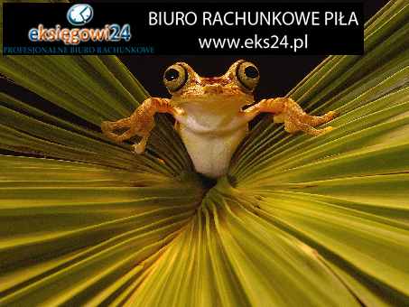 biuro rachunkowe Piła