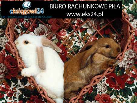 pełna księgowość Piła