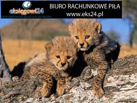 biuro rachunkowe Piła