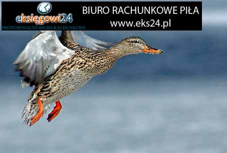 Biuro rachunkowe w Pile