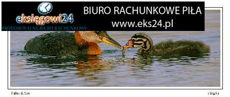 super biuro podatkowe w Pile