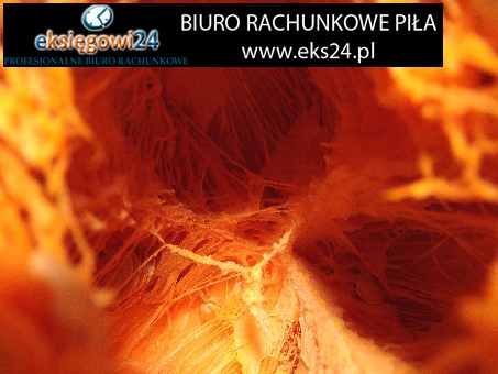 usługi rachunkowe Piła