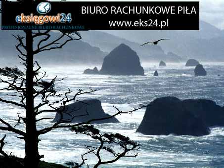Biura rachunkowe w Pile