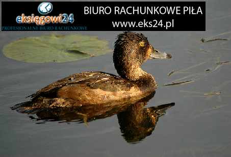 młodzieżowe tapety ścienne