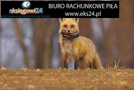 biura rachunkowe Piła