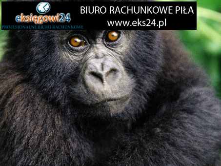 biura rachunkowe Piła