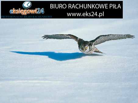 Biura rachunkowe w Pile