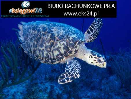 biuro księgowe Piła