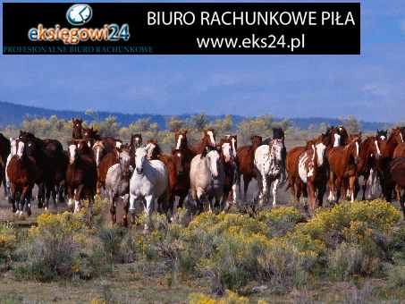 Pila biura rachunkowe Pila biura rachunkowe