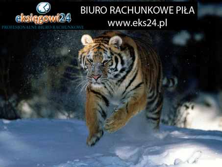 Biura rachunkowe w Pile