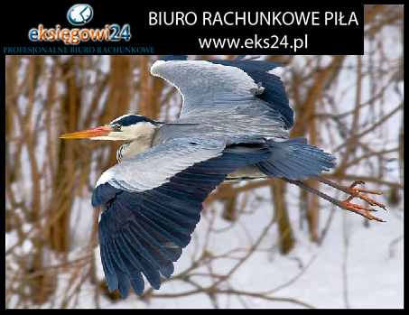 biuro rachunkowe Piła