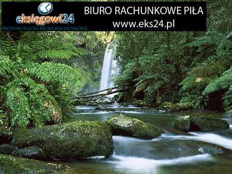 Biura rachunkowe Pila