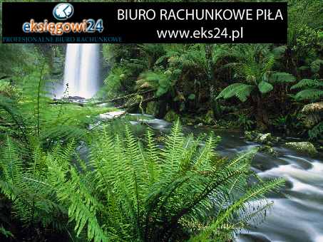 Pila biura rachunkowe
