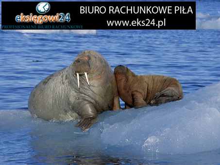 biuro rachunkowe Piła