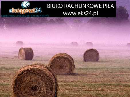 Biura rachunkowe w Pile