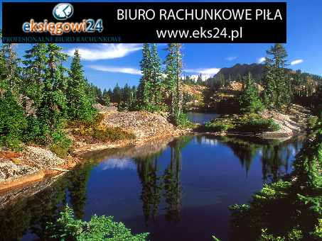 tanie biuro księgowe Piła