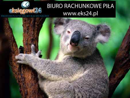 biuro księgowe Piła tanio
