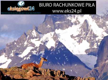 Pila biura rachunkowe