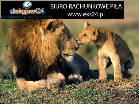 Biuro rachunkowe w Pile