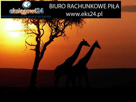 usługi księgowe Piła