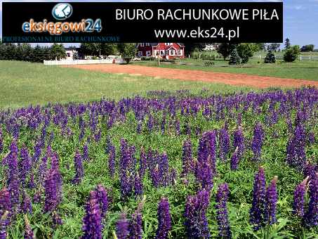 biuro podatkowe Piła