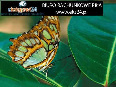 polecane biuro podatkowe Piła