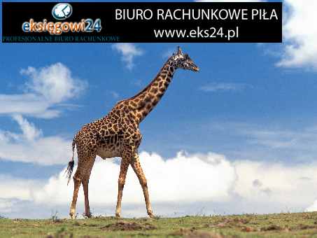 biuro rachunkowe Piła