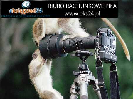 Piła biura rachunkowe