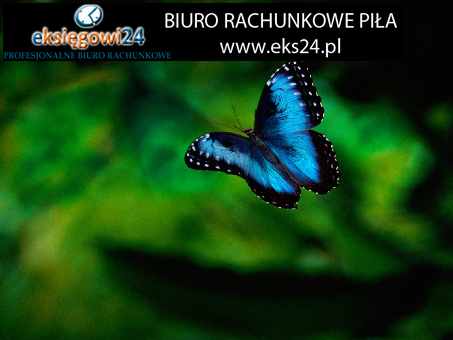 Pila uslugi ksiegowe