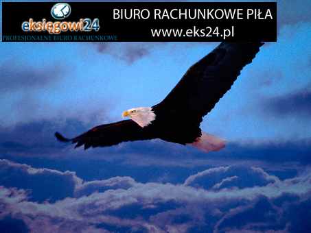 tapety ścienne sklep