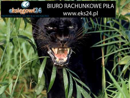 winylowe tapety ścienne winylowe tapety ścienne