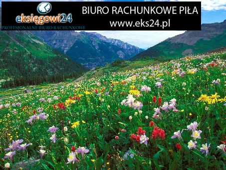 biuro podatkowe Piła