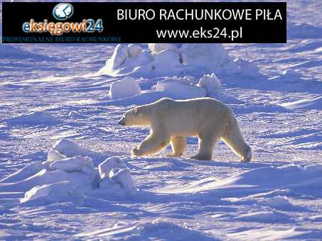 Pila uslugi rachunkowe