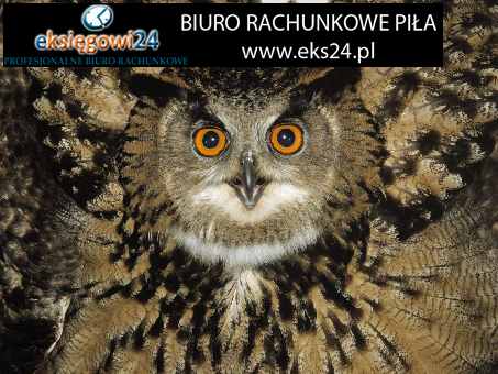 Biuro rachunkowe w Pile