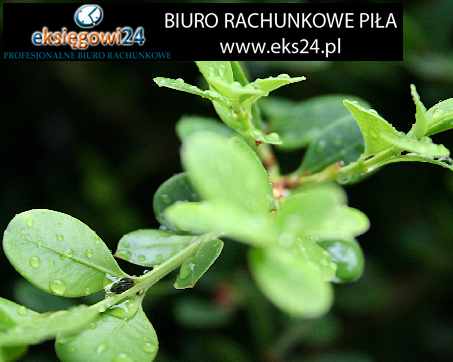 Pila biuro rachunkowe