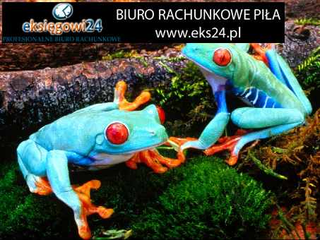 biuro podatkowe rachunkowe Piła